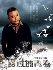 路过的青春