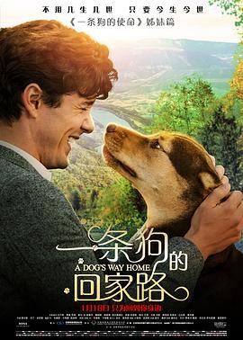 一条狗的回家路[原声版]